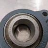 Dodge F2BSCM115 2 Bolt Flange Mount Bearing 1 15/16