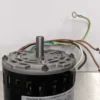 Zhongshan Broad-Ocean Motor Co Y6L238B51 Blower Fan Motor 2750/3150 RPM 1PH 115VAC - Image 2