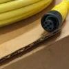 Allen-Bradley 889D-F5ACDM-15 QD Cordset DC Micro Straight PN-62598 Ser B 15m 5 Pin - Image 3