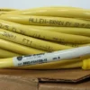 Allen-Bradley 889D-F5ACDM-15 QD Cordset DC Micro Straight PN-62598 Ser B 15m 5 Pin - Image 4
