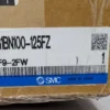 SMC CG1BN100-125FZ Air Double Acting Cylinder 2F9-2FW - Image 3