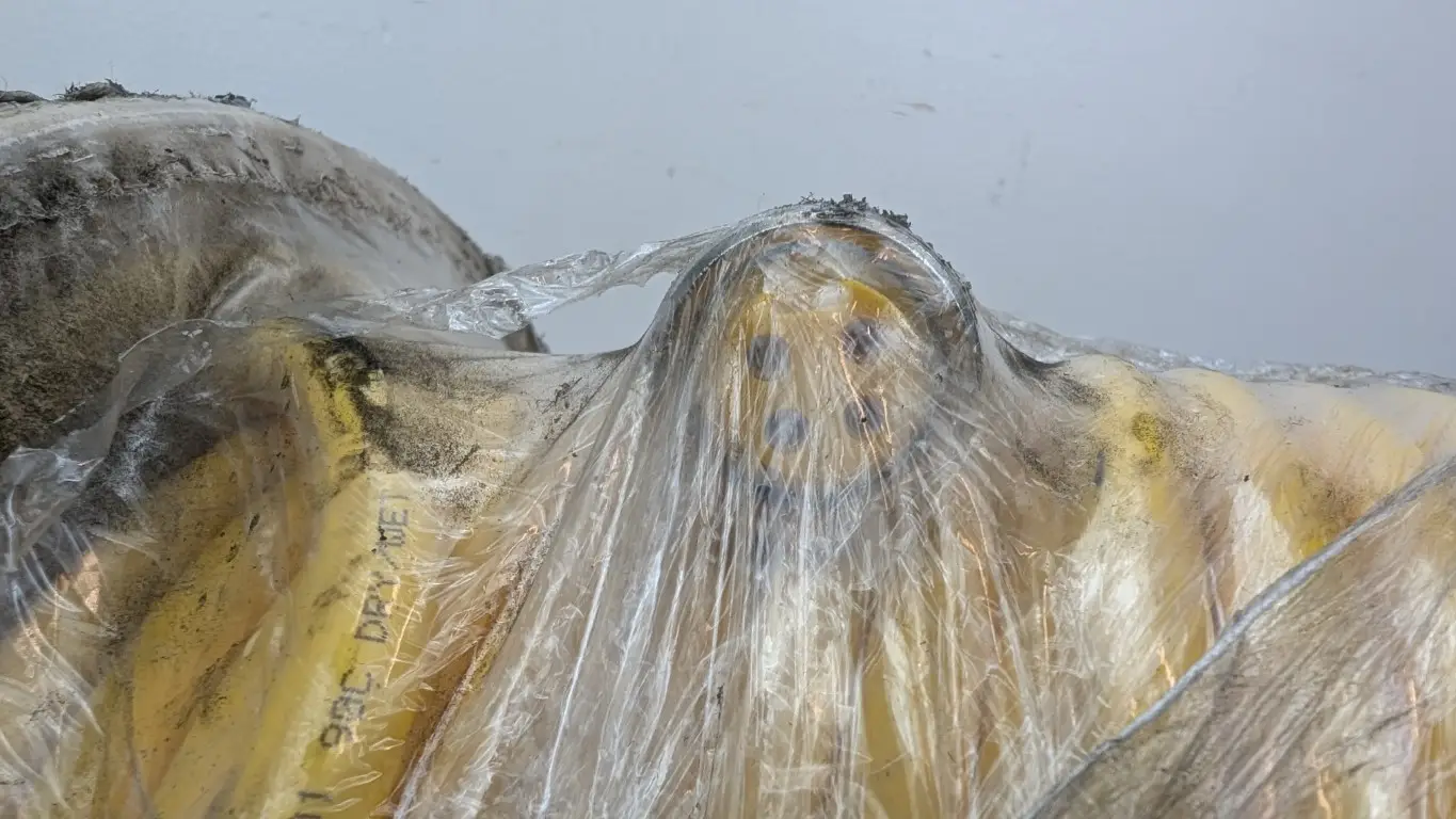 Turck RSM RKM 461-60M/S3059 Extension Cable Cordset U-38939 7/8" Male 4-Pin 7/8" Female 4-Pin 60m Yellow - Image 4